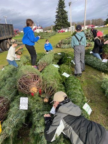 Children help collect Trees for Troops and write personal messages on tags at KLM Trees in Rochester in these photos provided by the Pacific Northwest Christmas Tree Association.